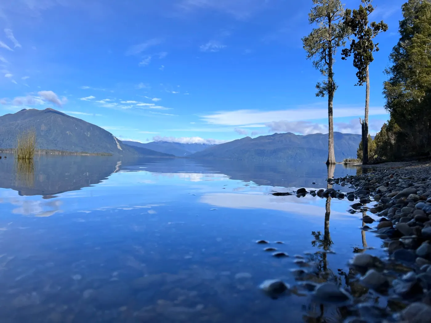 Full Day Kiwi Backcountry Adventure — scenery on the Waimakariri or Rakaia Rivers