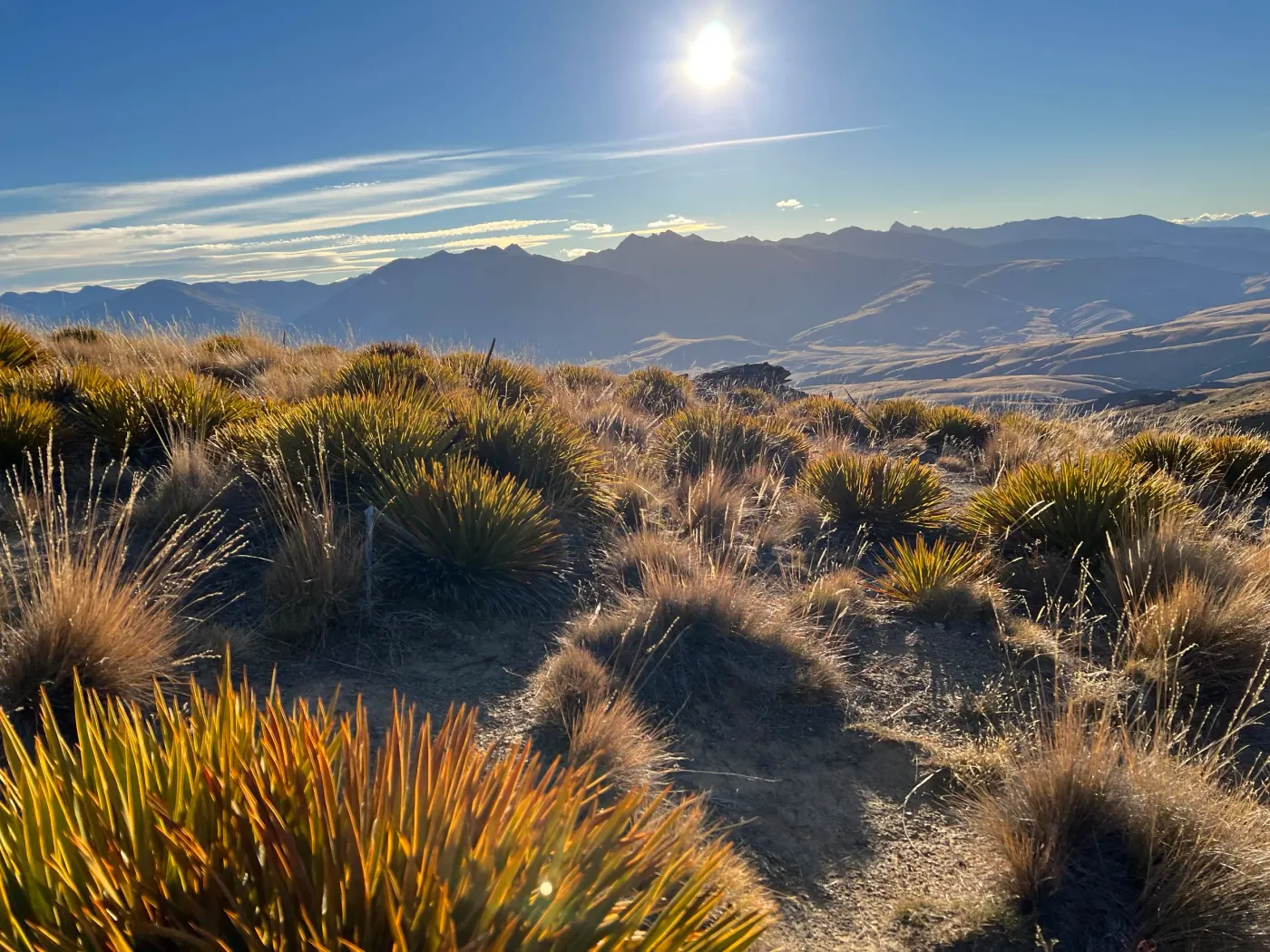 Backcountry Collection: Twin Rivers Edition — scenery on the Waimakariri and Rakaia Rivers